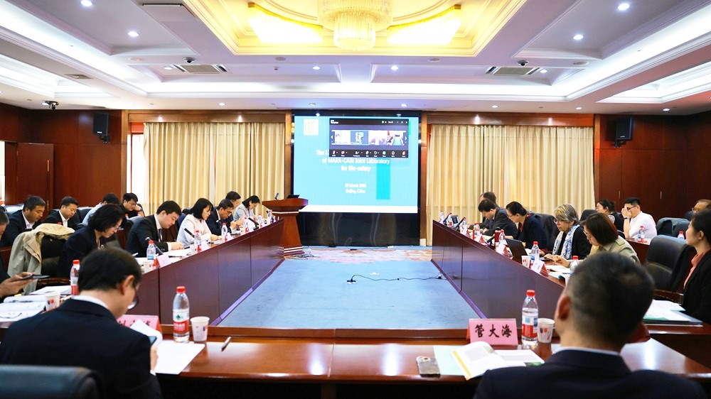 SC-meeting-002.jpeg