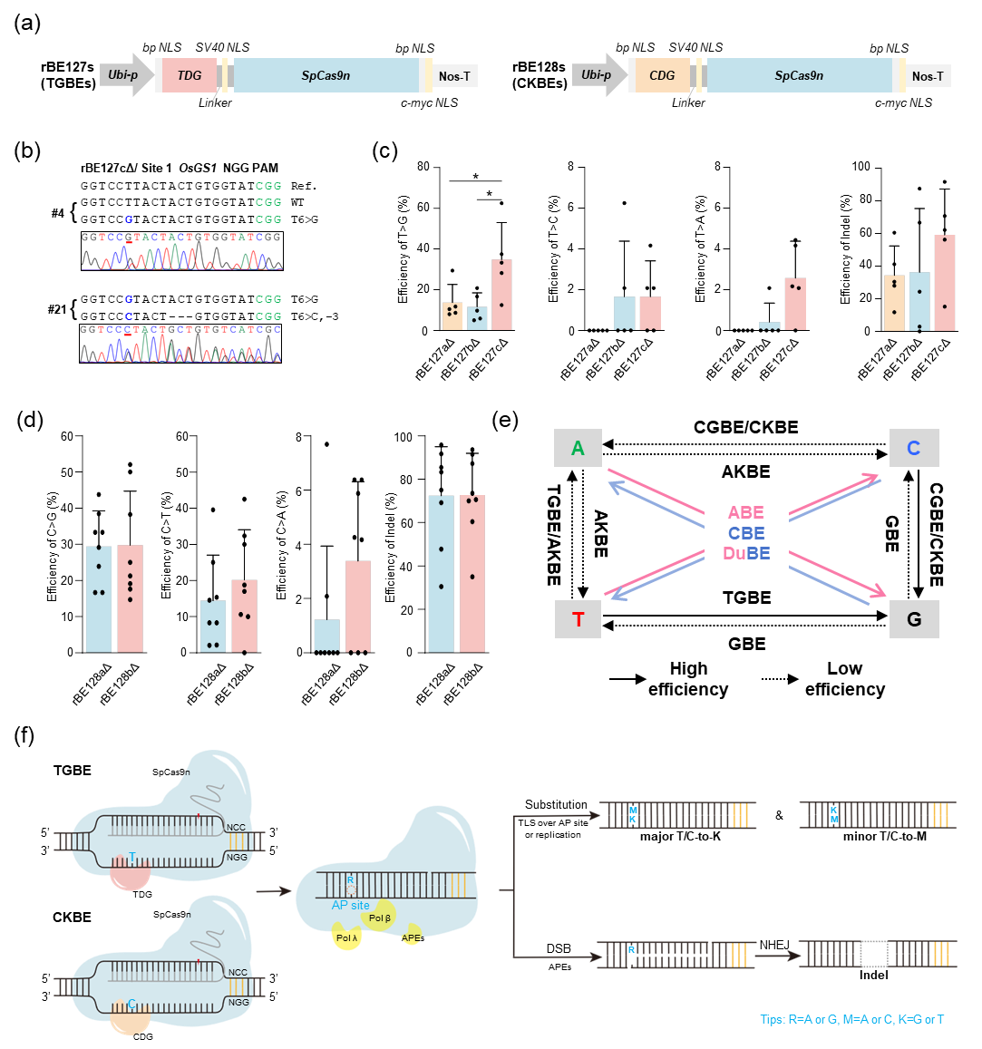 f62ff984948140a3b1121e3ef06f172e.png