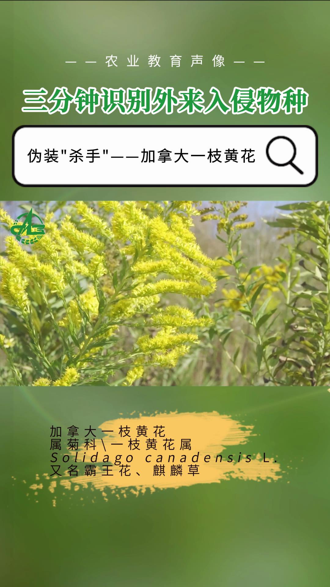微信图片_20240304104849.jpg