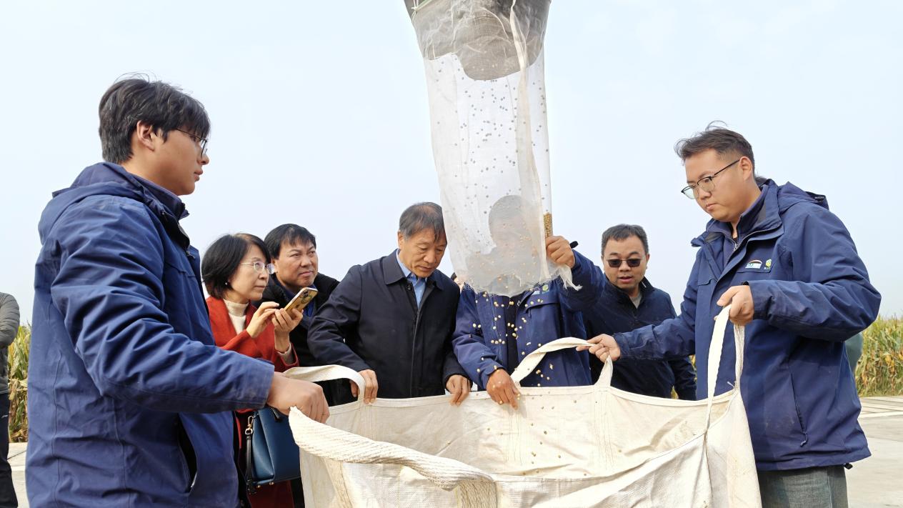 应对不利气候显成效，大豆绿色防控技术在豫交出高产答卷