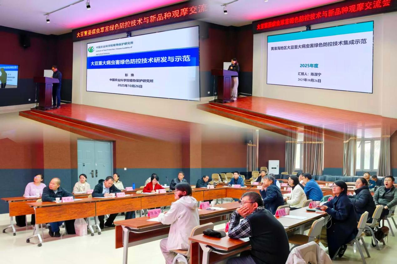 应对不利气候显成效，大豆绿色防控技术在豫交出高产答卷