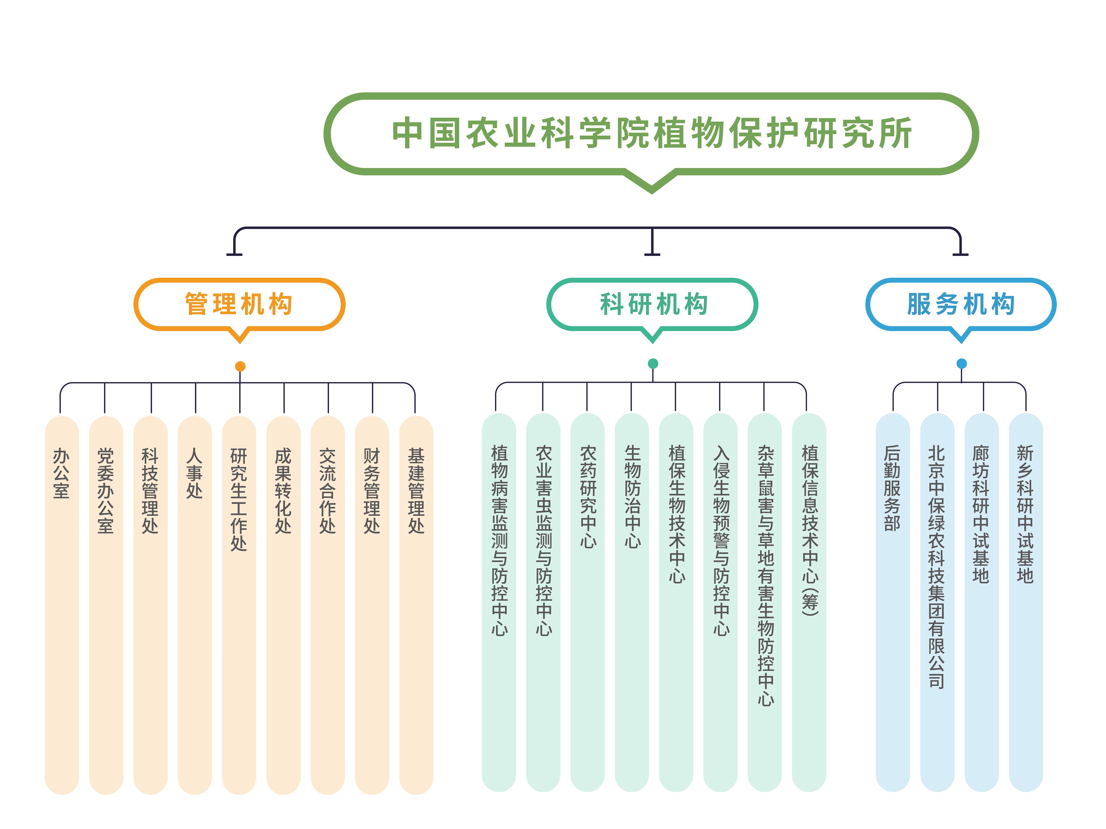 组织机构图  压缩.jpg