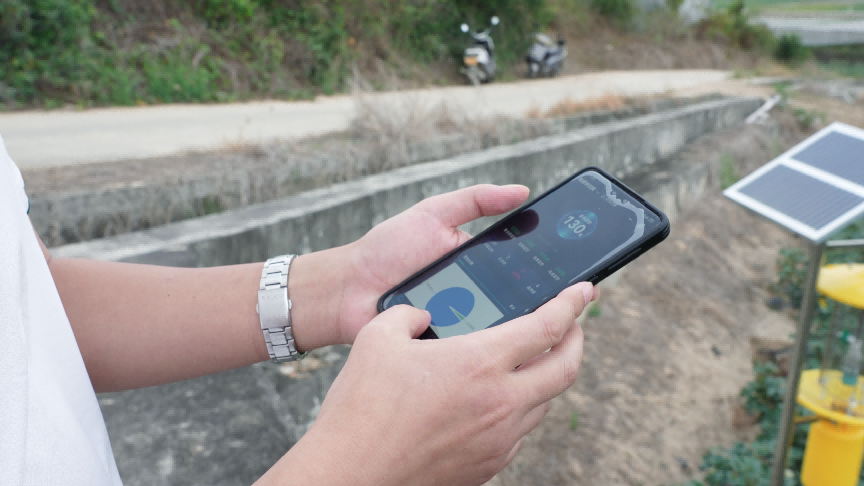 新春走基层｜“虫子飞到哪，我们的监测和研究就跟到哪”