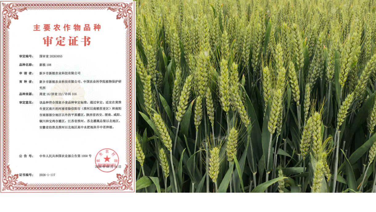 头条2    压缩B.png